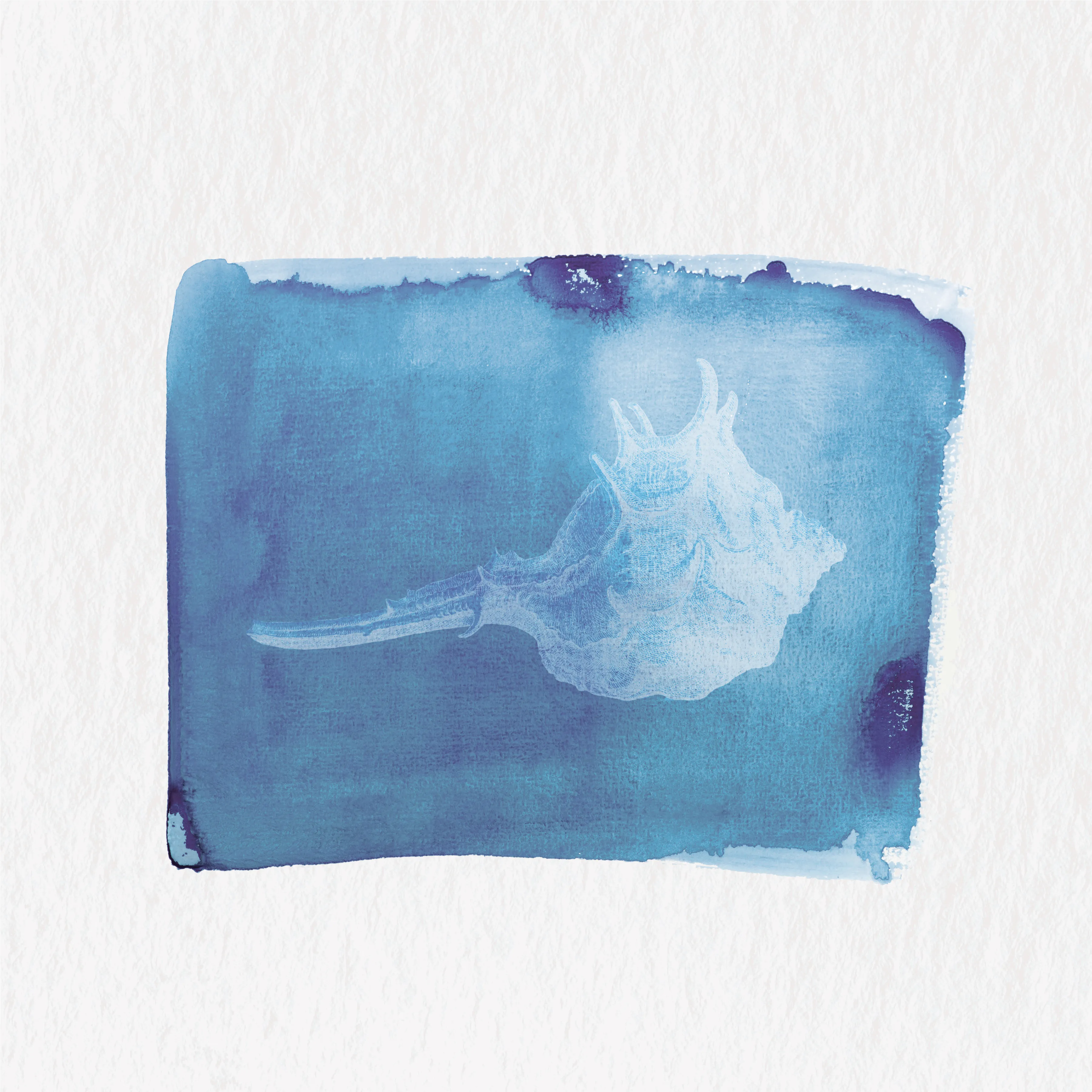 Coreopsis cover art